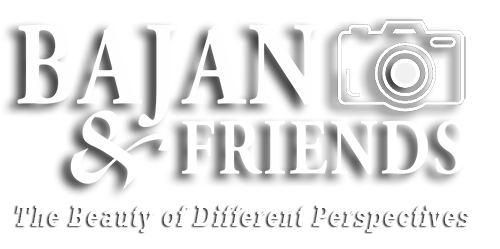 Bajan and Friends